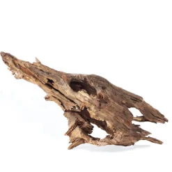 Galapagos Natural Driftwood Hollow Tree Root - 12-16 in