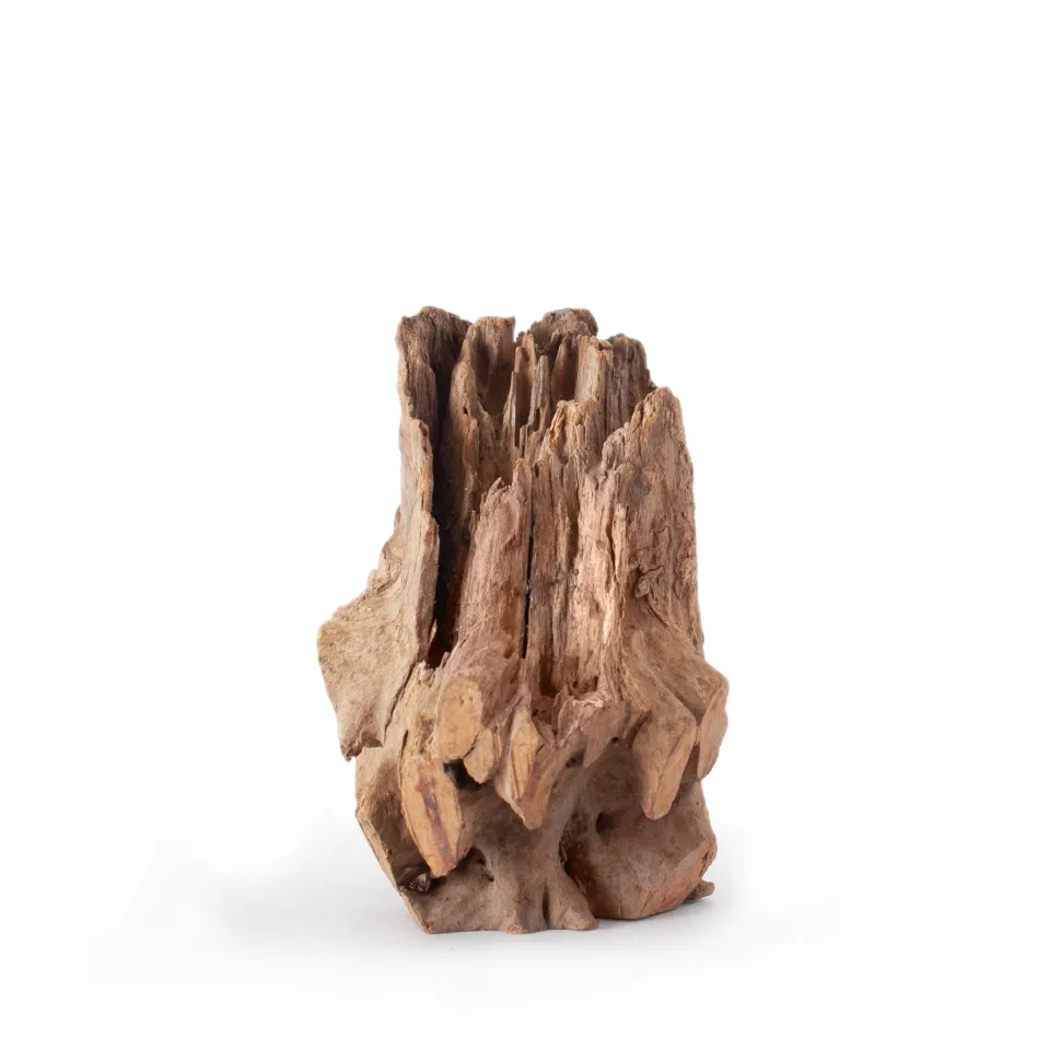 Galapagos Natural Eucalyptus Hollow Log Hide - 6-8 in
