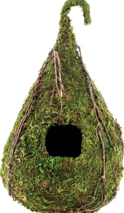 Galapagos Raindrop Deco Birdhouse - Fresh Green - 6 in X 10 in