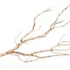 Galapagos Staghorn Wood Manzanita Branch - Brown - 19 In - 24 in