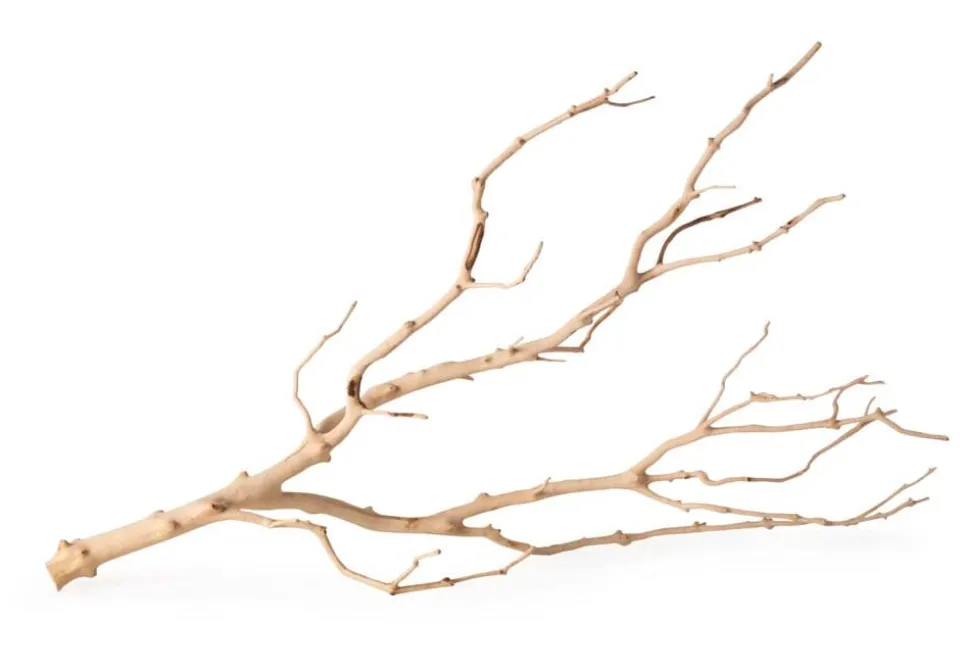 Galapagos Staghorn Wood Manzanita Branch - Brown - 19 In - 24 in