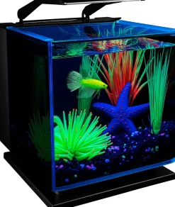 Glofish Betta Tinted Aquarium Kit Aquatics Starter Kits - 3 Gal