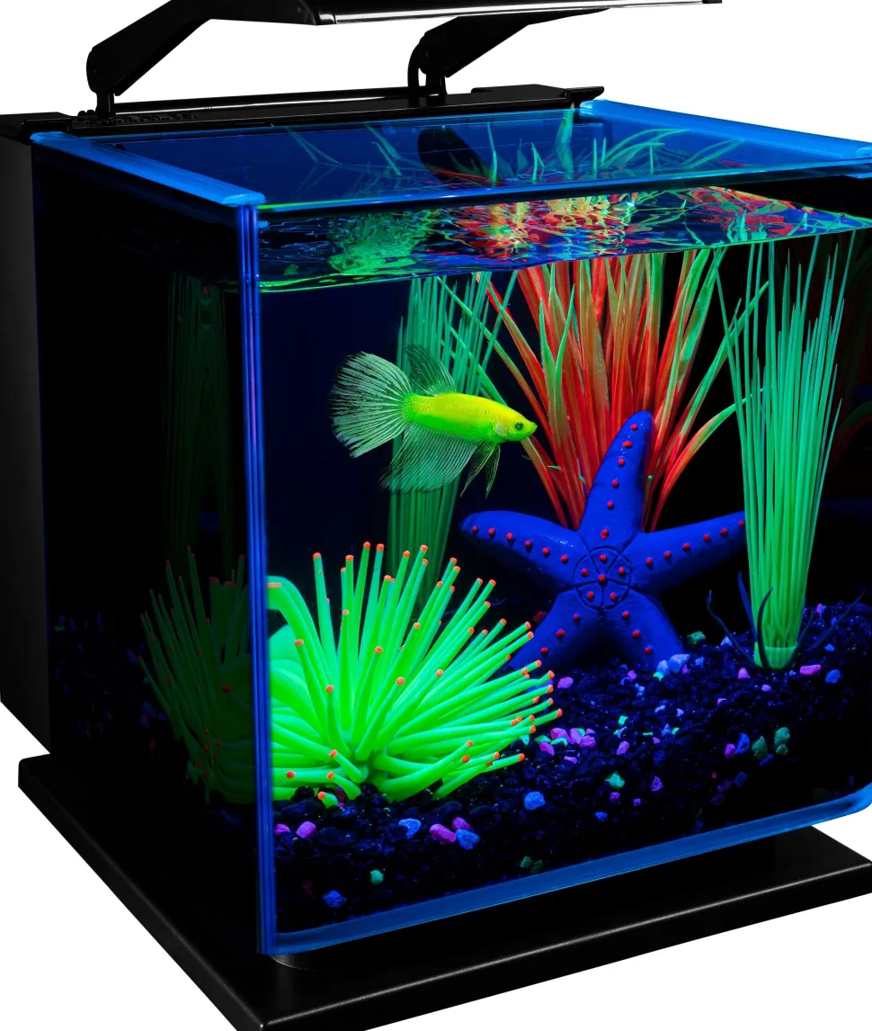 Glofish Betta Tinted Aquarium Kit Aquatics Starter Kits - 3 Gal