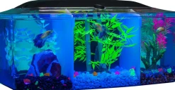 Glofish Betta Trilogy Aquarium Aquatics Starter Kits
