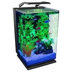 Glofish LED Aquarium Kit - 5 Gal