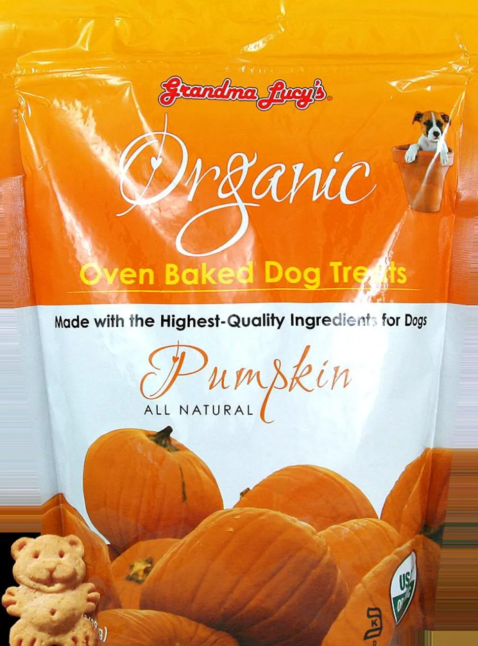 Grandma Lucy's Organic Pumpkin Baked Dog Treats - 14 oz Bag