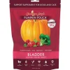 Grandma Lucy's Pumpkin Pouch Bladder Dog and Cat Supplements - 6 oz Bag