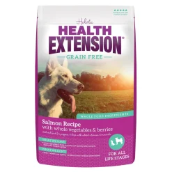 Health Extension Grain-Free Salmon Dry Dog Food - 1 Lb