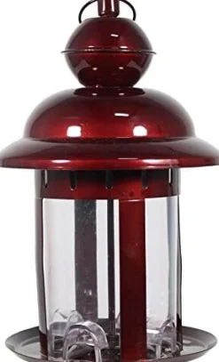 Heath Brambleberry Wild Bird Feeder - Brown - 2 Lbs Cap