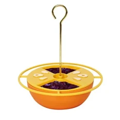 Heath Citrus Buffet Oriole Feeder - Orange - 6 Oz