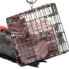 Heath Copper Leaf Suet and Seed Cake Wild Bird Feeder - Copper - 1 Cake Cap
