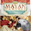 Higgins Mayan Harvest Tik'Al Blend Large Hookbill Bird Food - 3 Lbs