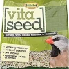 Higgins Nederlands Vita Seed Vita Finch Bird Food - 5 Lbs