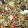 Higgins Sunburst Gourmet Diet Guinea Pig Small Animal Food - 3 Lbs