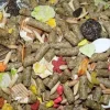 Higgins Sunburst Gourmet Diet Guinea Pig Small Animal Food - 25 Lbs