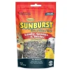 Higgins Sunburst Gourmet Leafy Greens & Herbs Bird Treat Sticks - 1 Oz