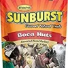 Higgins Sunburst Gourmet Boca Nuts No Shell Bird Treat Sticks - 5 Oz