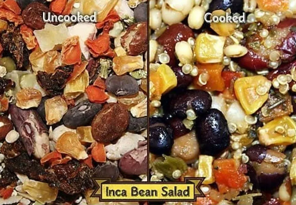 Higgins Worldly Cuisines Inca Bean Salad Bird Food - 2.5 Lbs