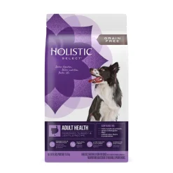 Holistic Select Grain-Free Adult Turkey and Lentils Dry Dog Food - 4 Lbs