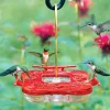Hummzinger Highview Square Hummingbird Feeder - Red - 9 Oz Cap