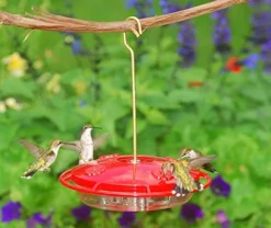 Hummzinger Ultra Classic Hummingbird Feeder - Red - 12 Oz Cap