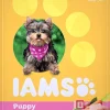 Iams ProActive Health Small Puppy and Toy Breed Chicken Adult Dry Dog Food - 7 lb Bag