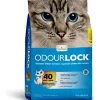 Intersand Classic Premium Clumping Odor Lock Cat Litter - Unscented #25