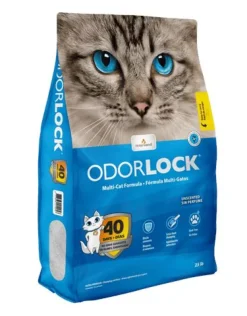 Intersand Classic Premium Clumping Odor Lock Cat Litter - Baby Powder #25