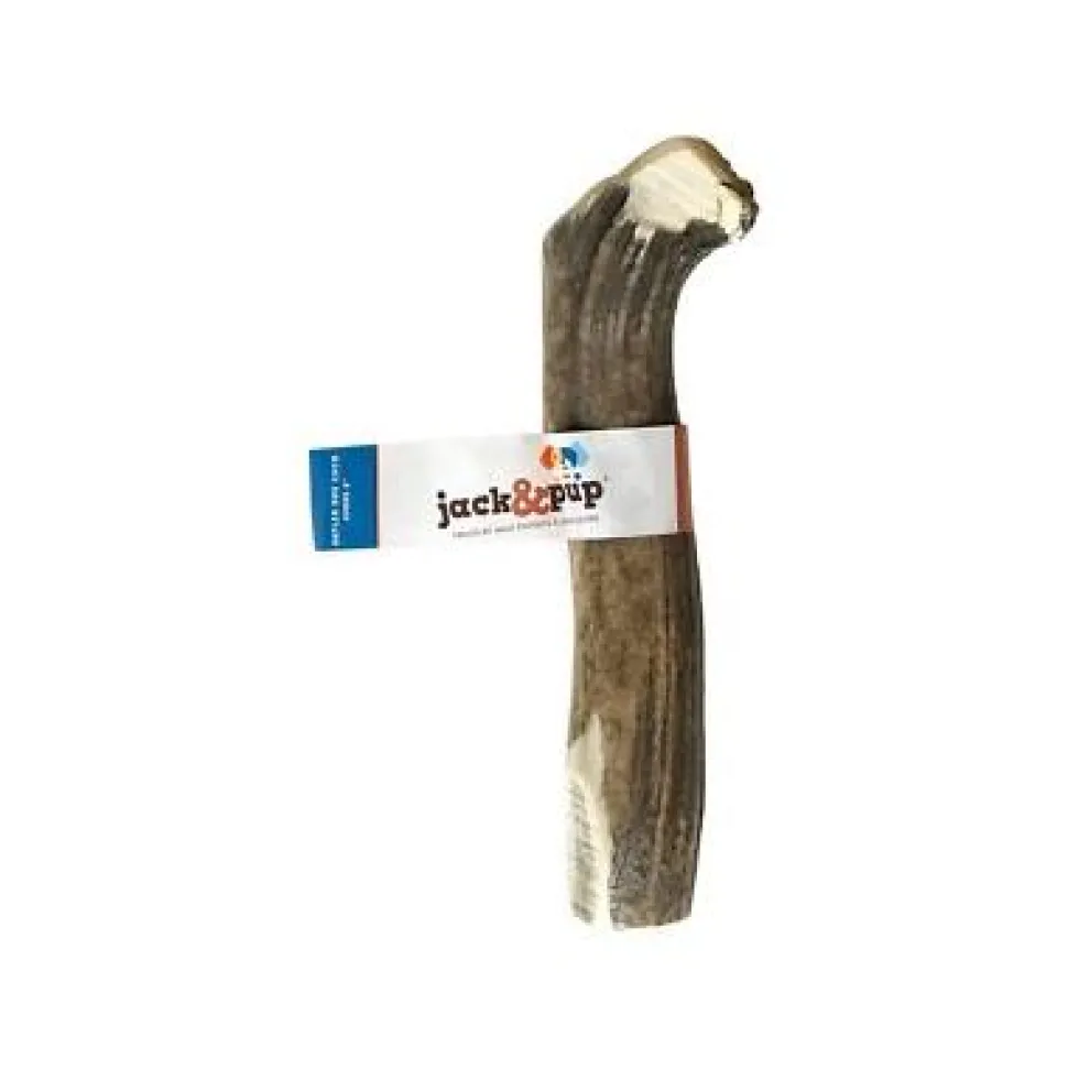 Jack & Pup Elk Whole Giant 8" Dog Natural Chews - 1 Each