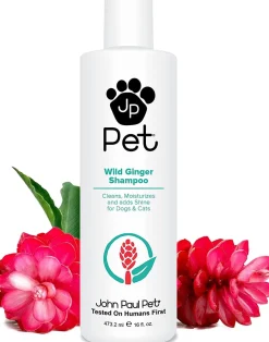 John Paul Wild Ginger Cat and Dog Shampoo - 16 oz