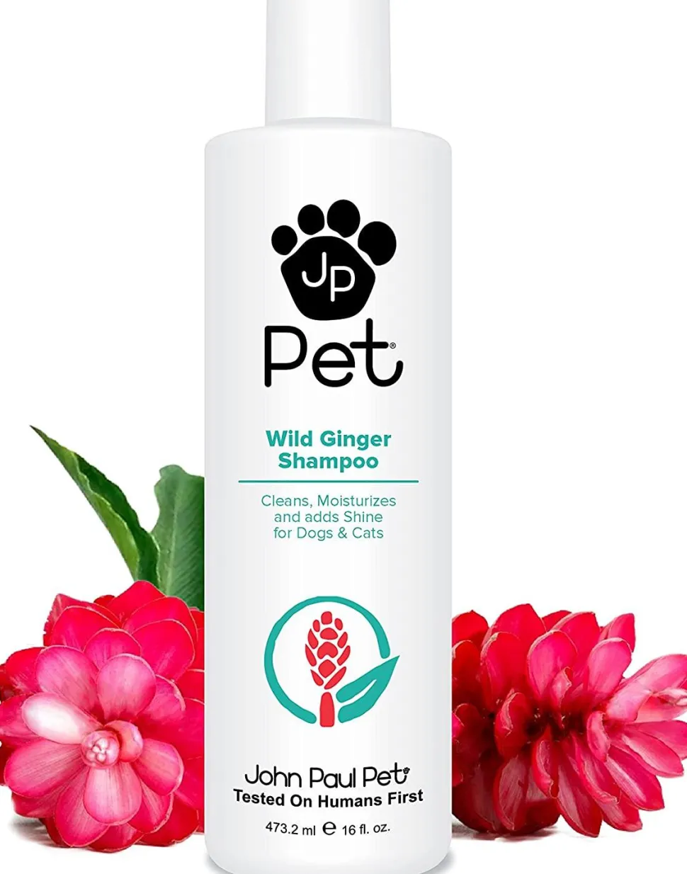 John Paul Wild Ginger Cat and Dog Shampoo - 16 oz