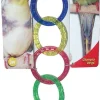 JW Pet Activitoys Olympic Rings Plastic Bird Toy