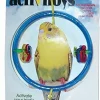JW Pet Activitoys Ring Clear Plastic Bird Toy