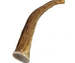 K-9 Kraving Treats Elk Antler Baked Dog Treats - Jumbo - Case of 15 lb