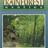 Kaylor of Colorado Rodent Rainforest Small Animal Foods - 20 lb Bag