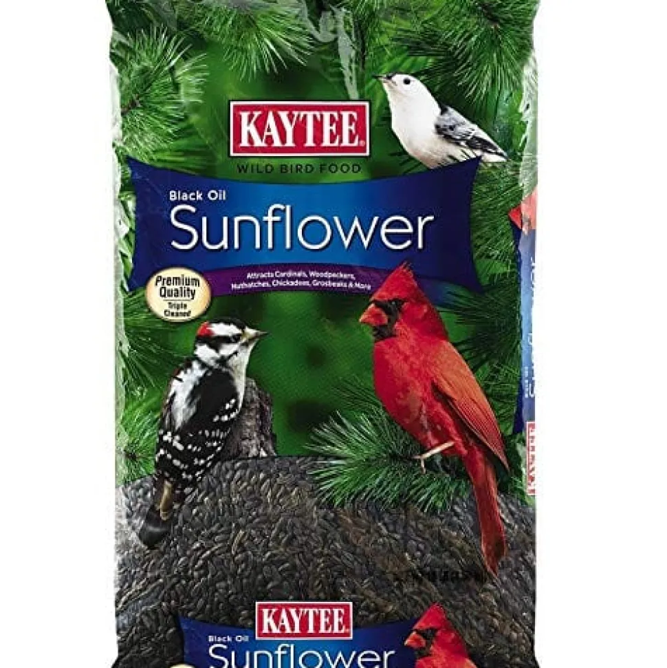 Kaytee Black Oil Sunflower Food - 10 lb