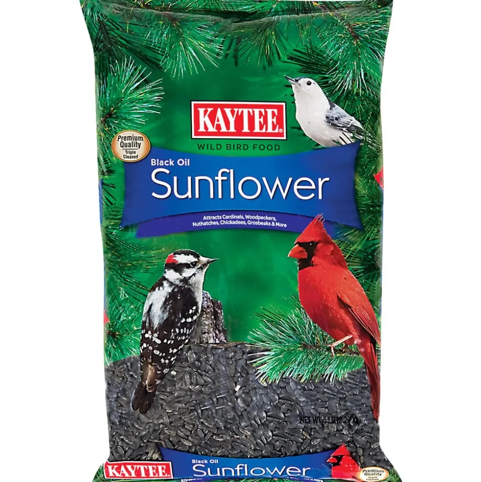Kaytee Black Oil Sunflower Food - 5 lb