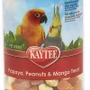 Kaytee Papaya, Peanuts and Mango Treat Jar for All Pet Birds - 10 Oz
