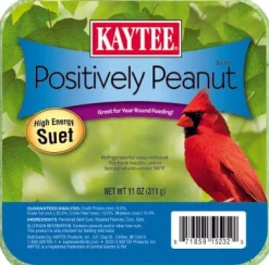 Kaytee Positively Peanut High Energy Mini Suet - 11 Oz