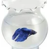 Koller Products Aqua Accents Glass Betta Tulip Aquarium Bowl - 30 Oz