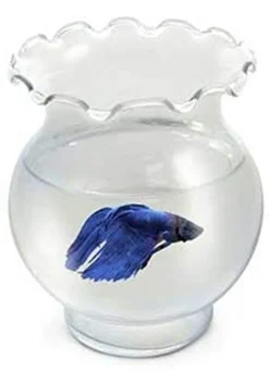 Koller Products Aqua Accents Glass Betta Tulip Aquarium Bowl - 30 Oz