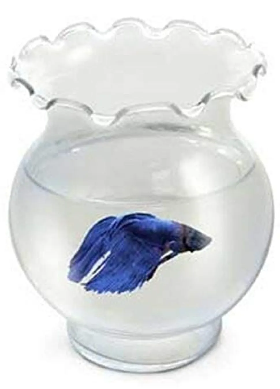 Koller Products Aqua Accents Glass Betta Tulip Aquarium Bowl - 30 Oz