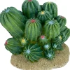 Komodo Cactus Plant Barrel - 4 in