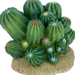 Komodo Cactus Plant Barrel - 4 in