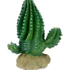 Komodo Cactus Plant Columnar - 5.9 in