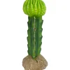 Komodo Cactus Plant Moon - 7.5 in