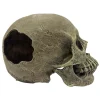 Komodo Full Human Skull Reptile Hideout - Gray - One Size