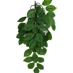 Komodo Green Leaf Hanging Plant - Small - 16 in