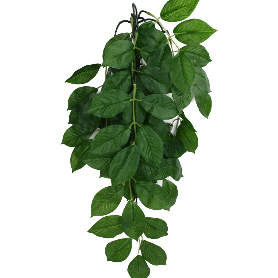 Komodo Green Leaf Hanging Plant - Small - 16 in