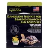 Komodo Grow Your Own Dandelion Seed Kit for Bearded Dragon & Tortoise - 6.5 in